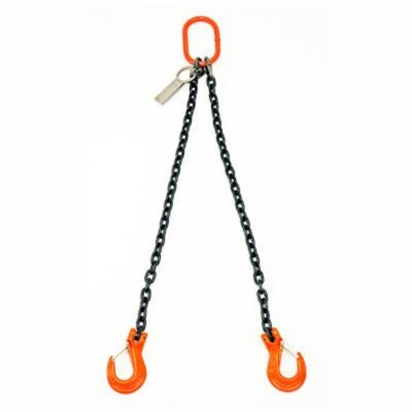 Mazzella Mazzella Lifting B151035 6' Double Leg Chain Sling W/ Sling Hook S5101206D01